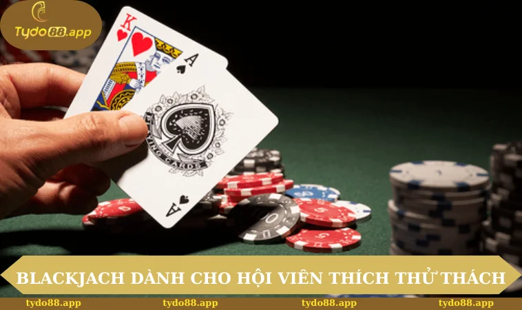 Blackjack dành cho hội viên thích thử thách