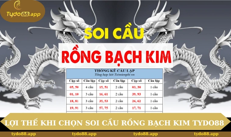 Lợi thế khi chọn soi cầu Rồng Bạch Kim tại TYDO88 