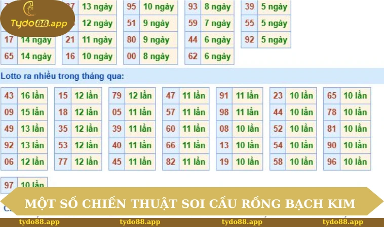 Một số chiến thuật soi cầu Rồng Bạch Kim 
