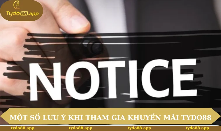 Một số lưu ý khi tham gia khuyến mãi TYDO88