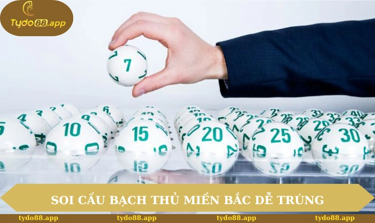 soi cầu bạch thủ miền bắc