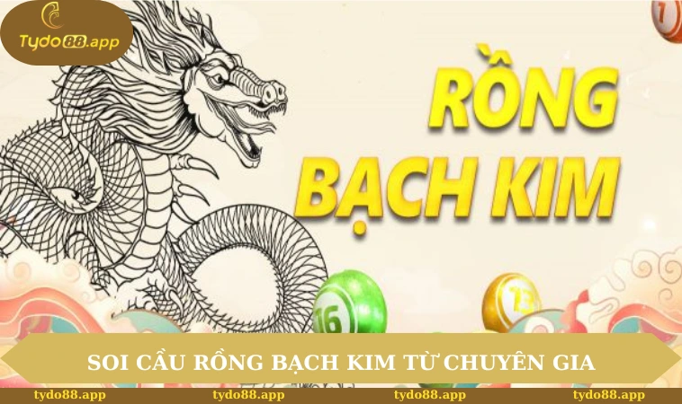 soi cầu rồng bạch kim