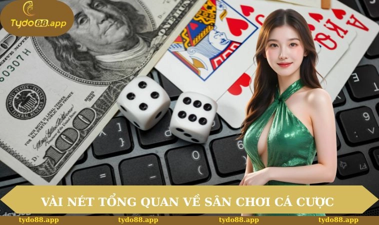 Vài nét tổng quan về sân chơi cá cược